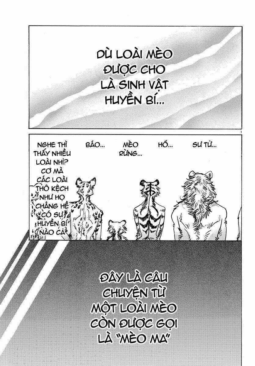 Bởi Vì Chúng Ta Đều Là Những Ngôi Sao Chapter 145 trang 1