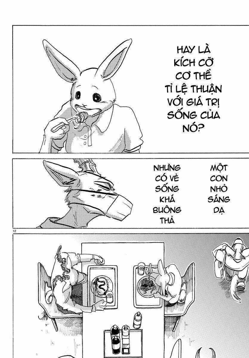 Bởi Vì Chúng Ta Đều Là Những Ngôi Sao Chapter 146 trang 11