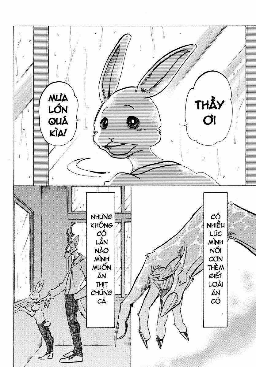 Bởi Vì Chúng Ta Đều Là Những Ngôi Sao Chapter 146 trang 16