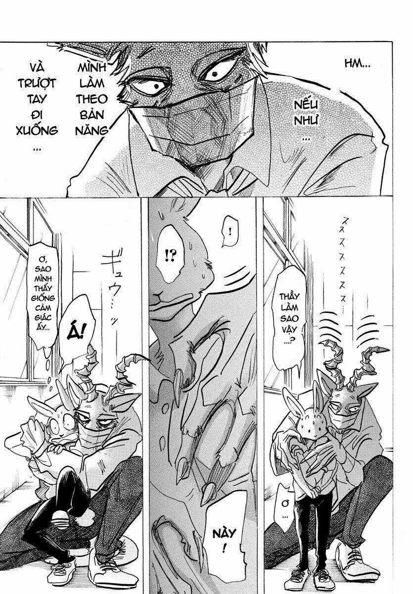 Bởi Vì Chúng Ta Đều Là Những Ngôi Sao Chapter 147 trang 1