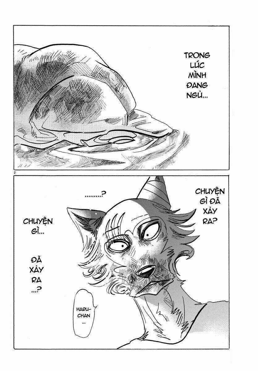Bởi Vì Chúng Ta Đều Là Những Ngôi Sao Chapter 149 trang 1