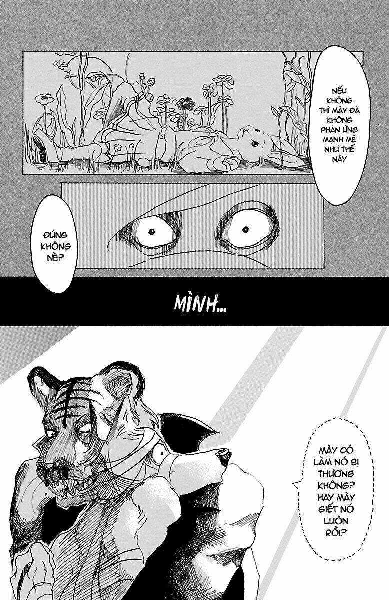 Bởi Vì Chúng Ta Đều Là Những Ngôi Sao Chapter 15 trang 17