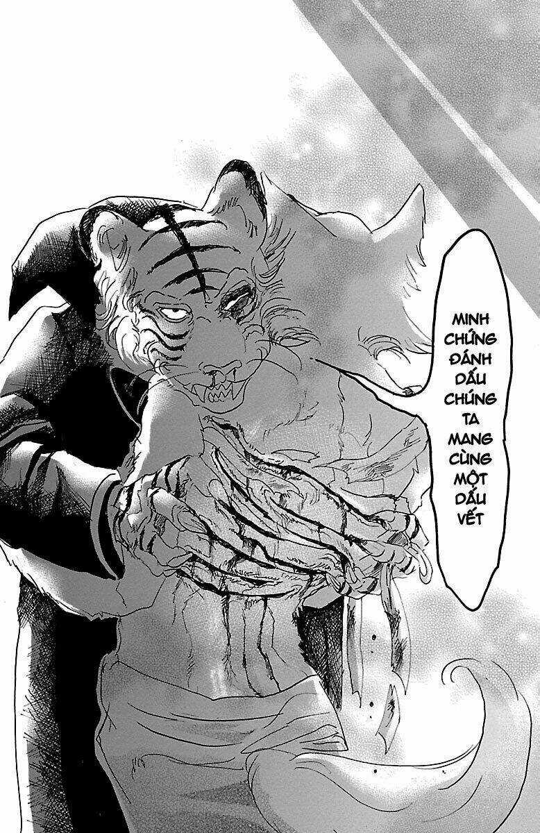 Bởi Vì Chúng Ta Đều Là Những Ngôi Sao Chapter 15 trang 19