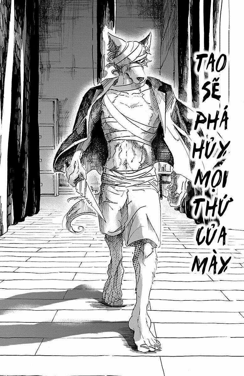 Bởi Vì Chúng Ta Đều Là Những Ngôi Sao Chapter 15 trang 7