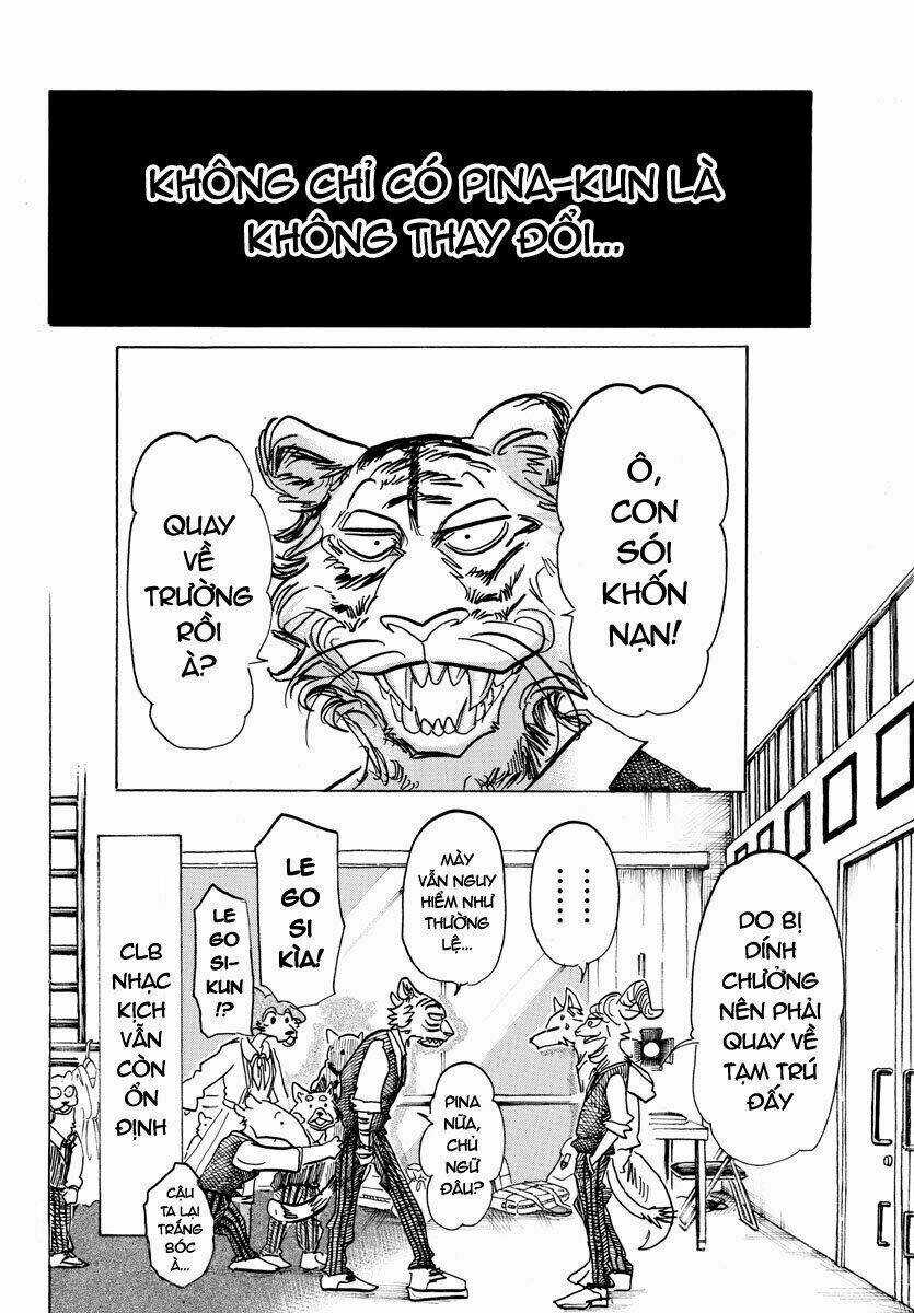 Bởi Vì Chúng Ta Đều Là Những Ngôi Sao Chapter 152 trang 12