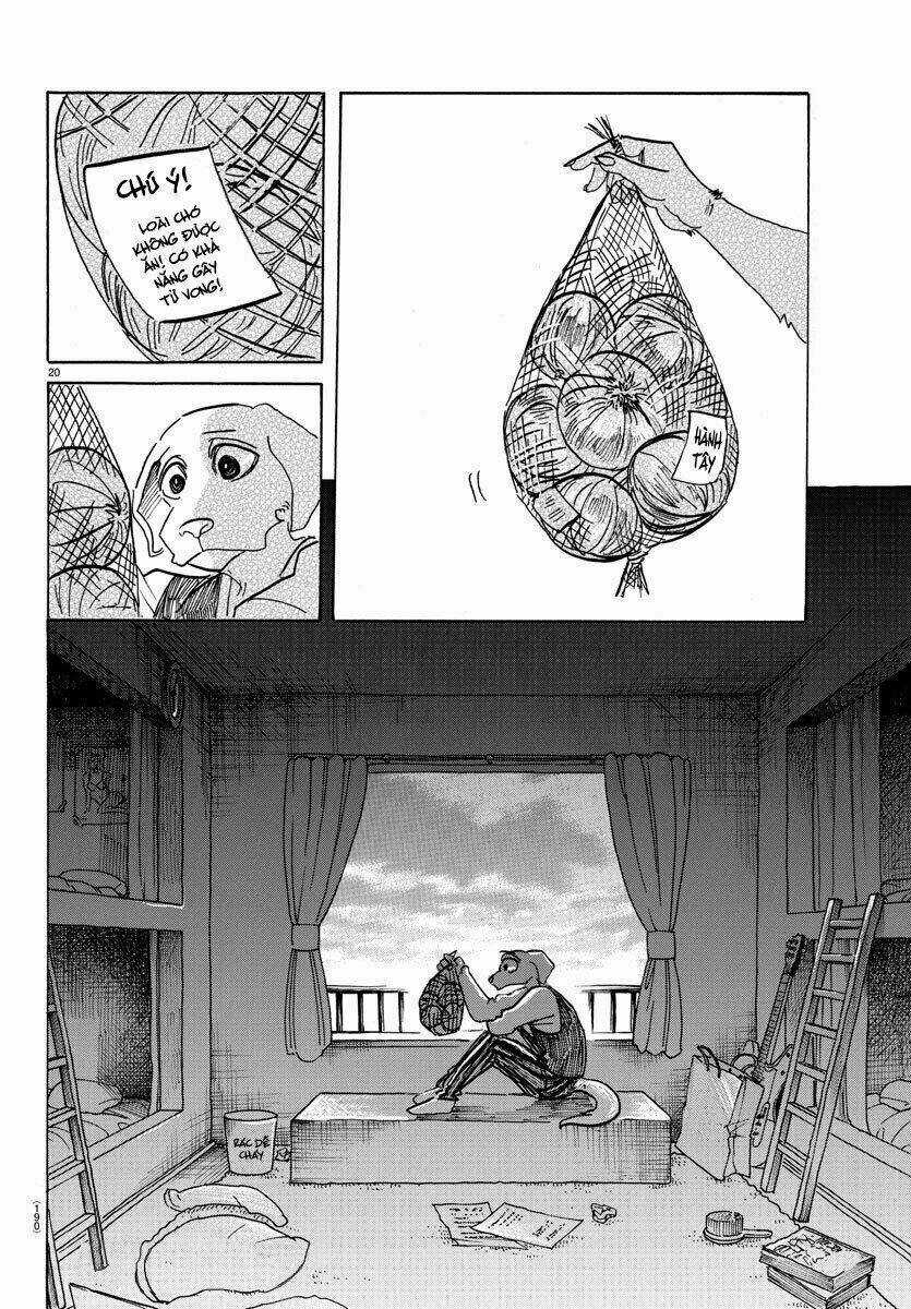 Bởi Vì Chúng Ta Đều Là Những Ngôi Sao Chapter 152 trang 18