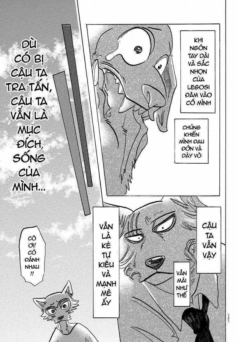 Bởi Vì Chúng Ta Đều Là Những Ngôi Sao Chapter 153 trang 15