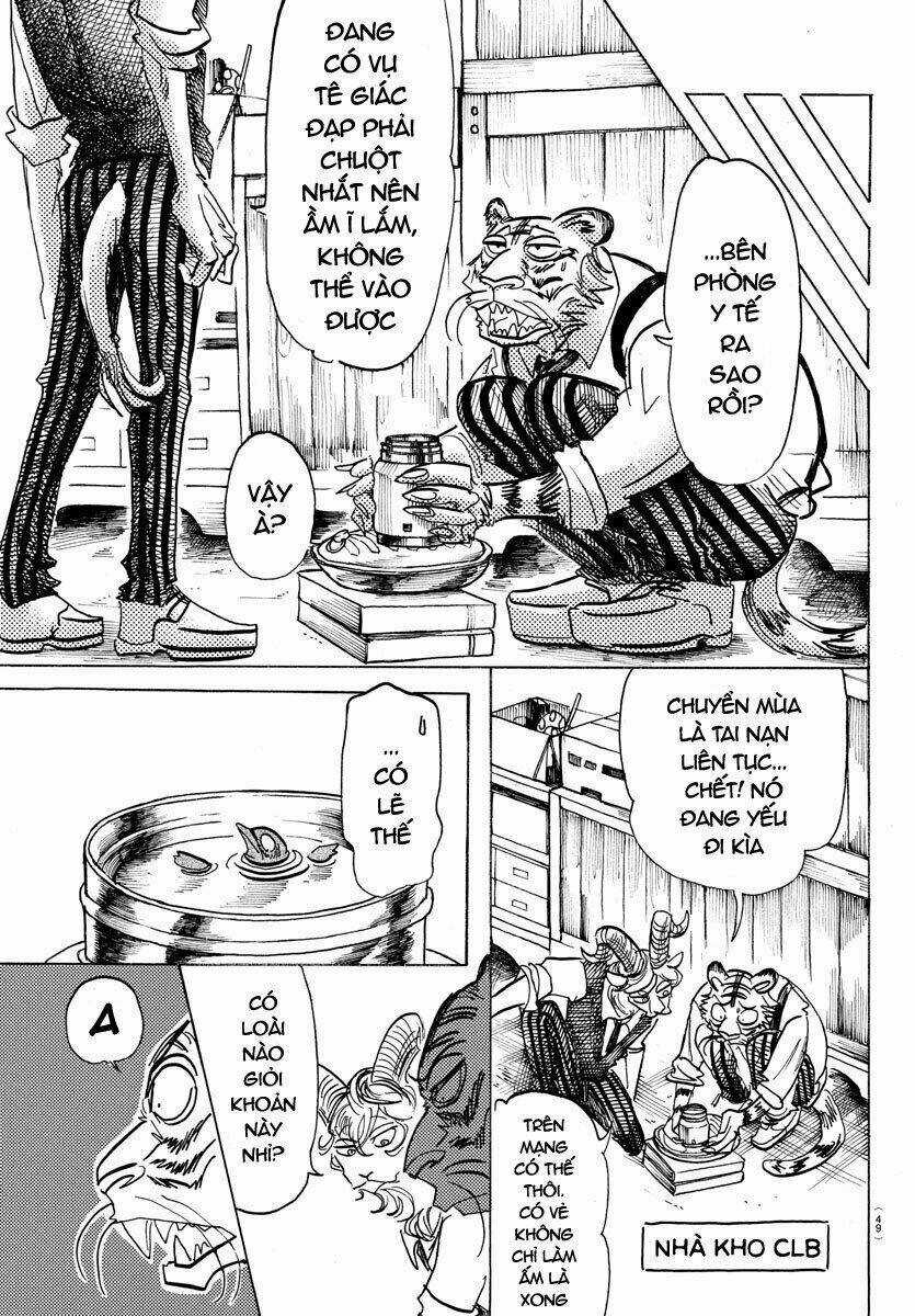 Bởi Vì Chúng Ta Đều Là Những Ngôi Sao Chapter 155 trang 10