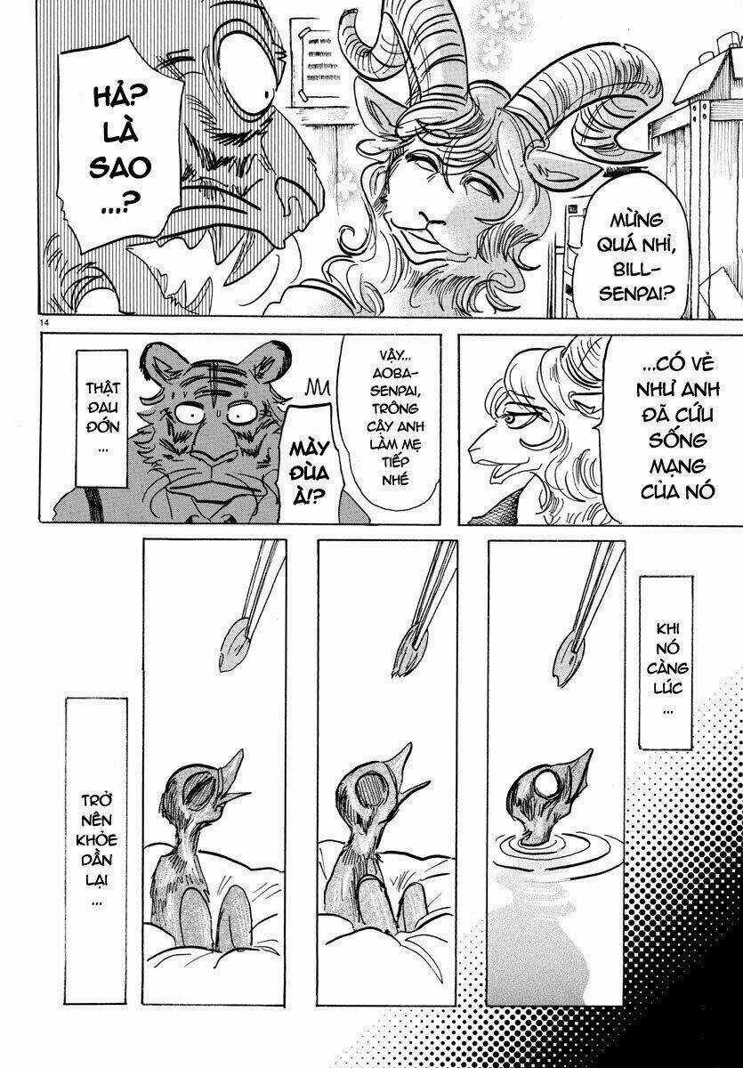 Bởi Vì Chúng Ta Đều Là Những Ngôi Sao Chapter 155 trang 13