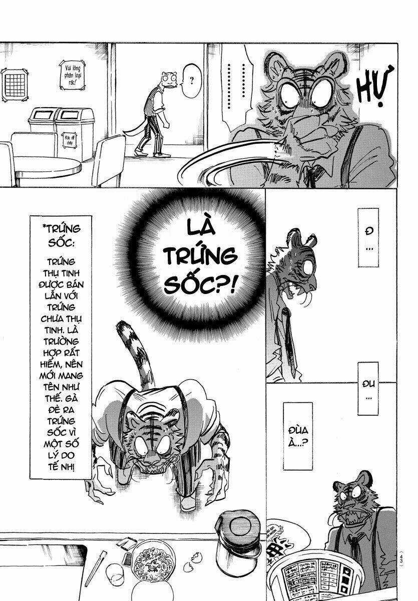 Bởi Vì Chúng Ta Đều Là Những Ngôi Sao Chapter 155 trang 4