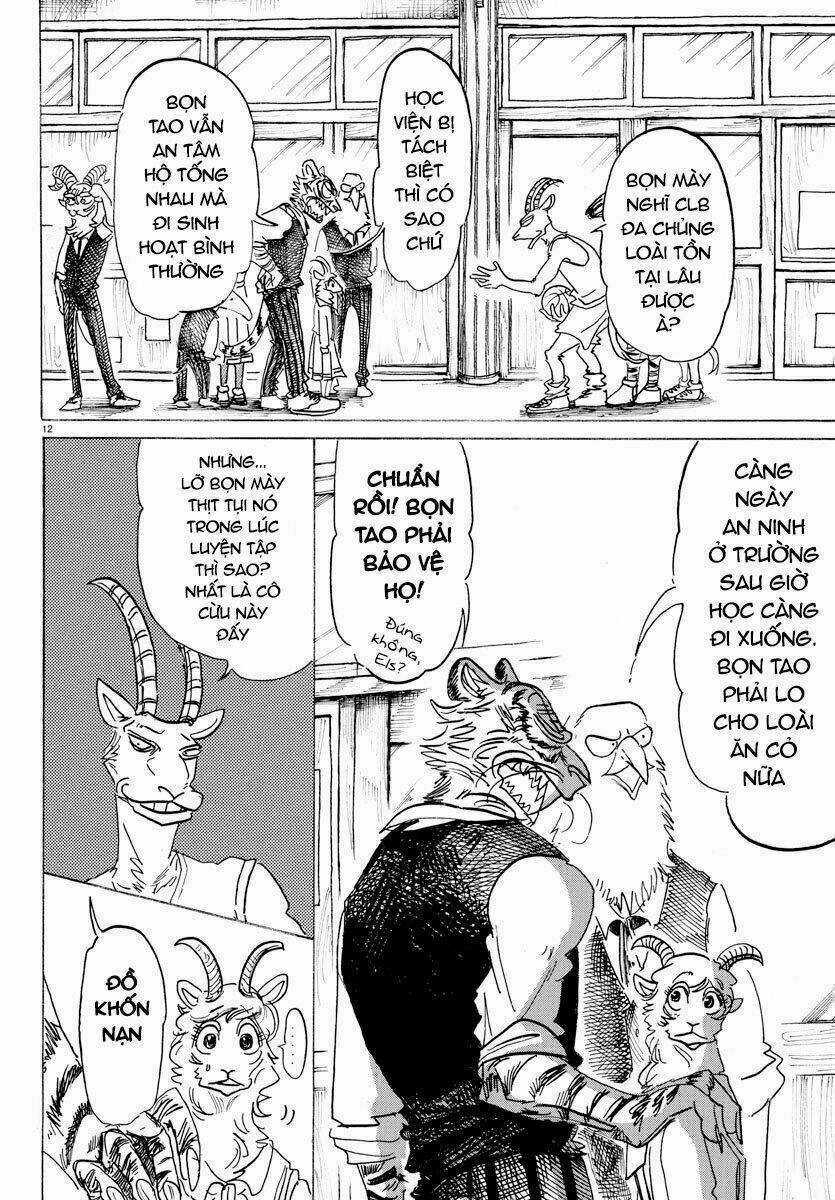 Bởi Vì Chúng Ta Đều Là Những Ngôi Sao Chapter 157 trang 11