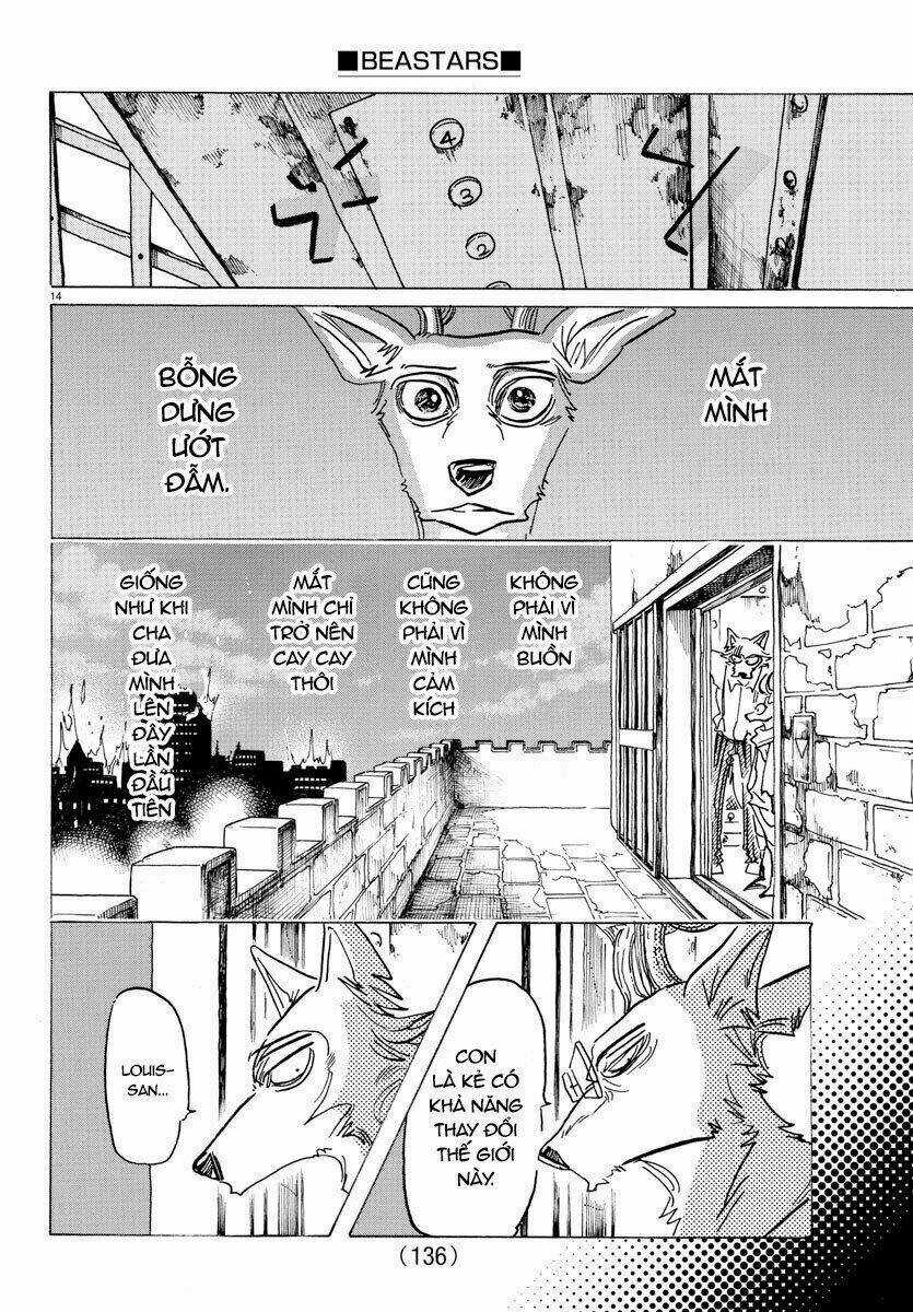 Bởi Vì Chúng Ta Đều Là Những Ngôi Sao Chapter 158 trang 17