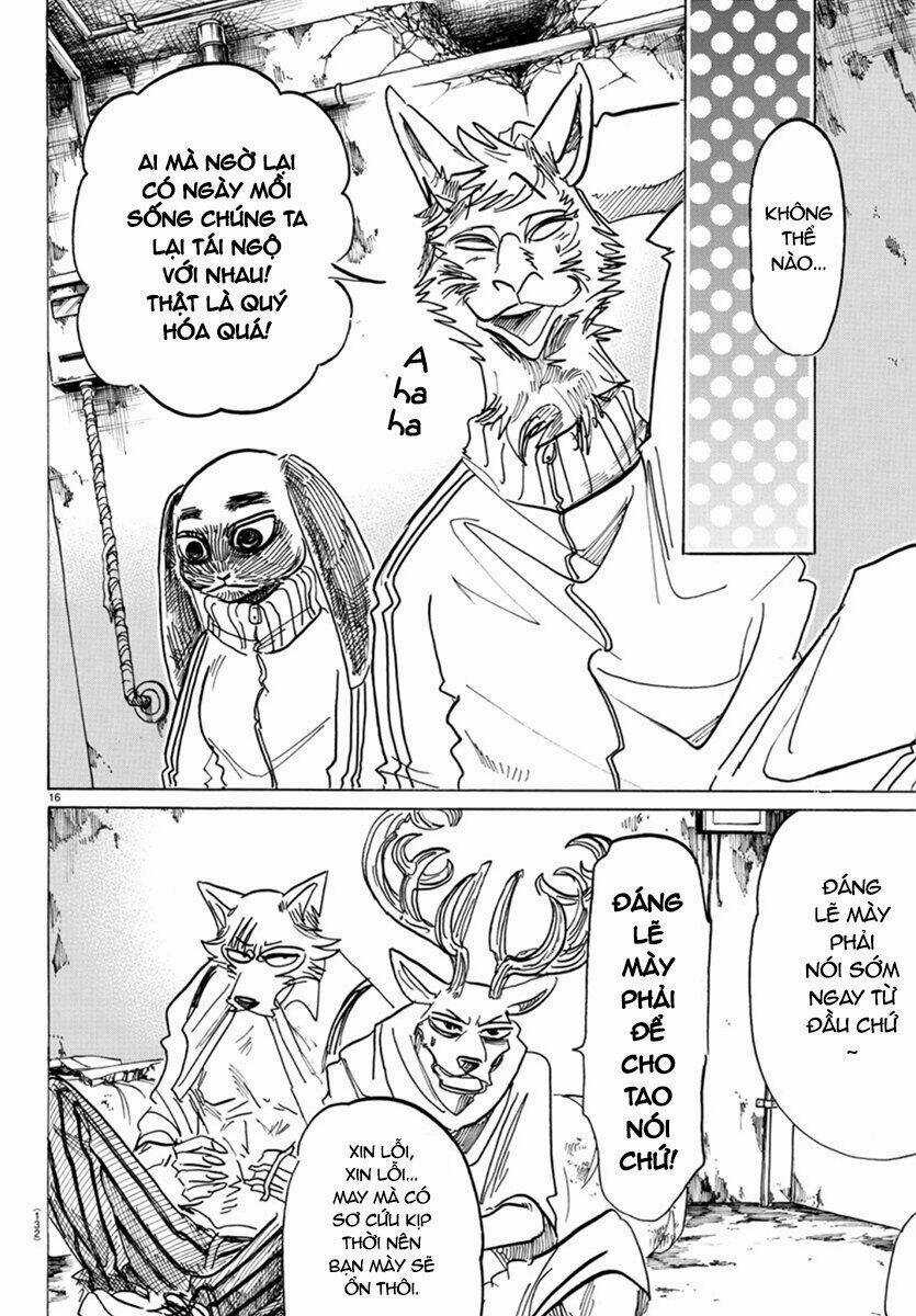 Bởi Vì Chúng Ta Đều Là Những Ngôi Sao Chapter 159 trang 15