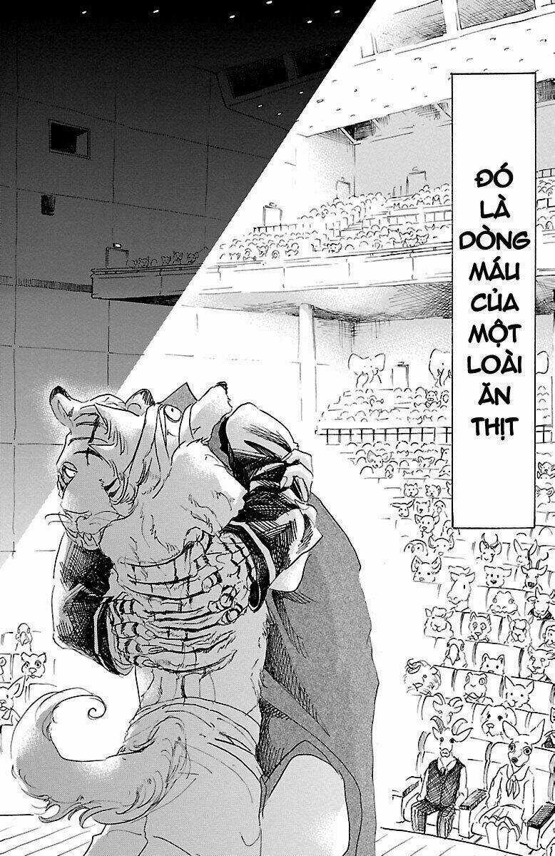 Bởi Vì Chúng Ta Đều Là Những Ngôi Sao Chapter 16 trang 1
