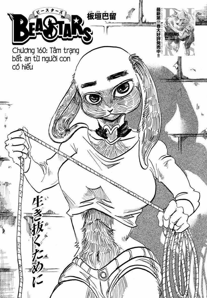 Bởi Vì Chúng Ta Đều Là Những Ngôi Sao Chapter 160 trang 0