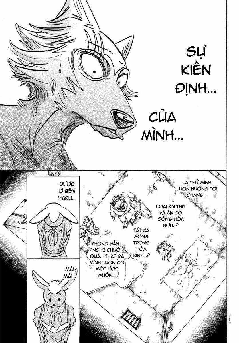 Bởi Vì Chúng Ta Đều Là Những Ngôi Sao Chapter 160 trang 12