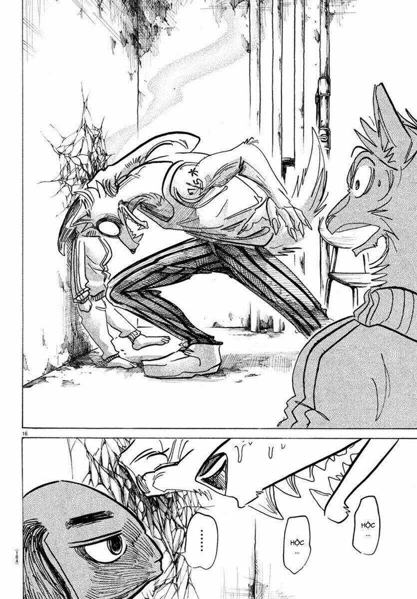 Bởi Vì Chúng Ta Đều Là Những Ngôi Sao Chapter 160 trang 15