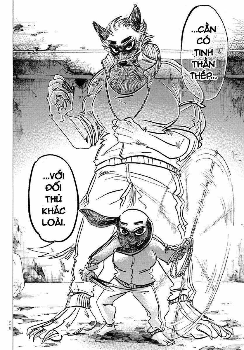 Bởi Vì Chúng Ta Đều Là Những Ngôi Sao Chapter 160 trang 9