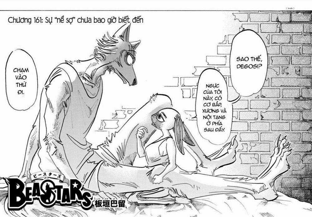 Bởi Vì Chúng Ta Đều Là Những Ngôi Sao Chapter 161 trang 0