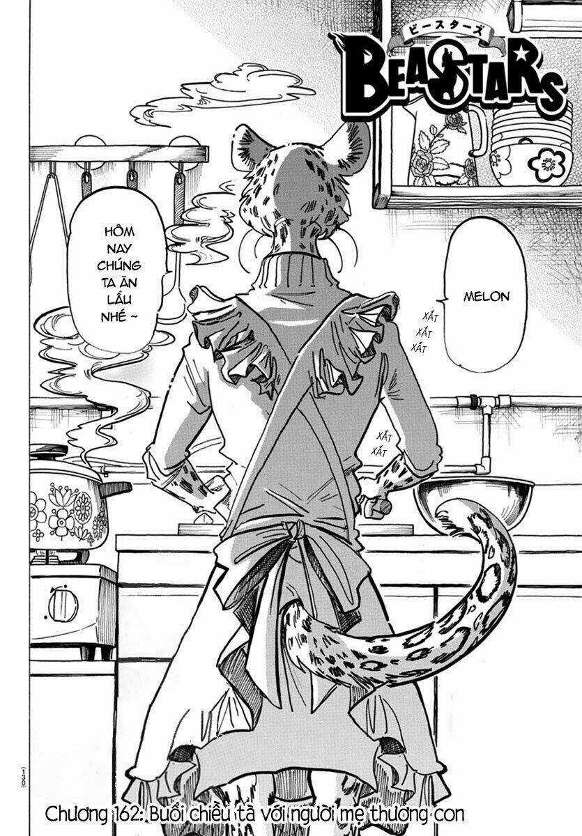 Bởi Vì Chúng Ta Đều Là Những Ngôi Sao Chapter 162 trang 1