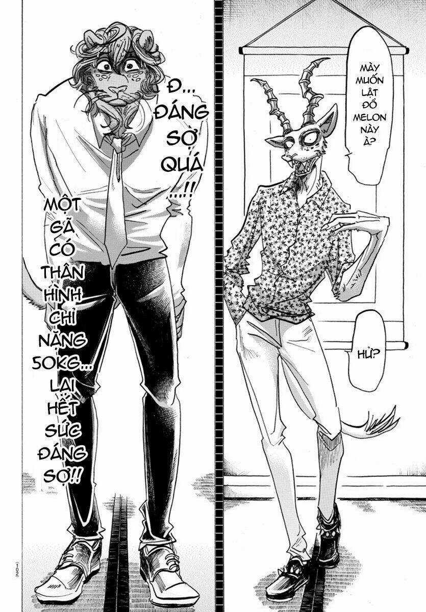 Bởi Vì Chúng Ta Đều Là Những Ngôi Sao Chapter 163 trang 13