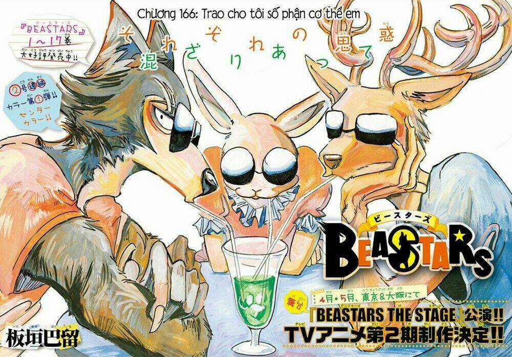 Bởi Vì Chúng Ta Đều Là Những Ngôi Sao Chapter 166 trang 0