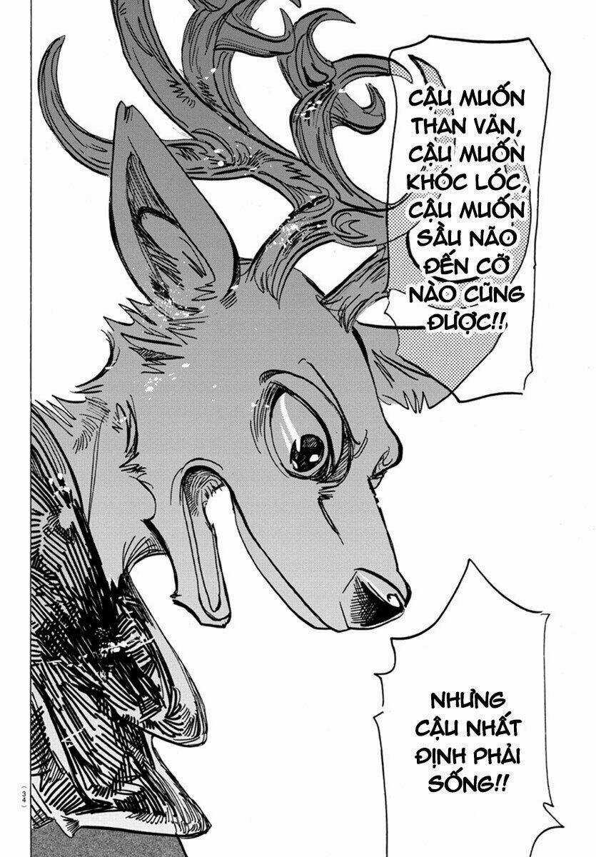 Bởi Vì Chúng Ta Đều Là Những Ngôi Sao Chapter 167 trang 8