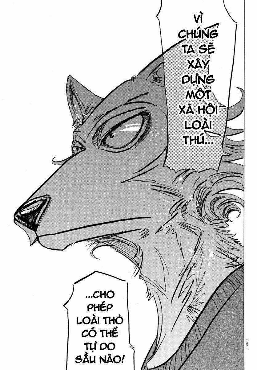 Bởi Vì Chúng Ta Đều Là Những Ngôi Sao Chapter 167 trang 9