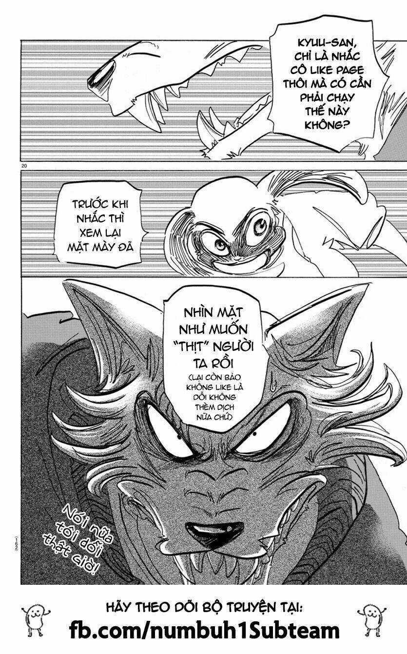 Bởi Vì Chúng Ta Đều Là Những Ngôi Sao Chapter 169 trang 20