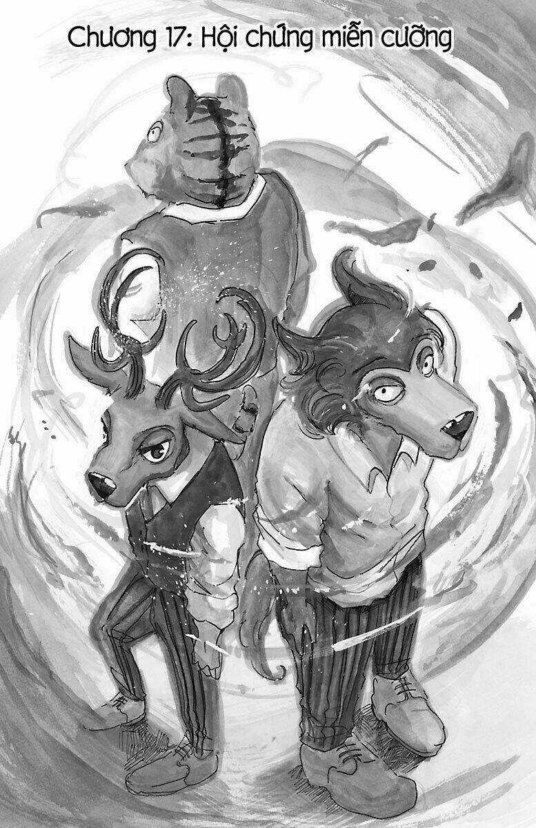 Bởi Vì Chúng Ta Đều Là Những Ngôi Sao Chapter 17 trang 6