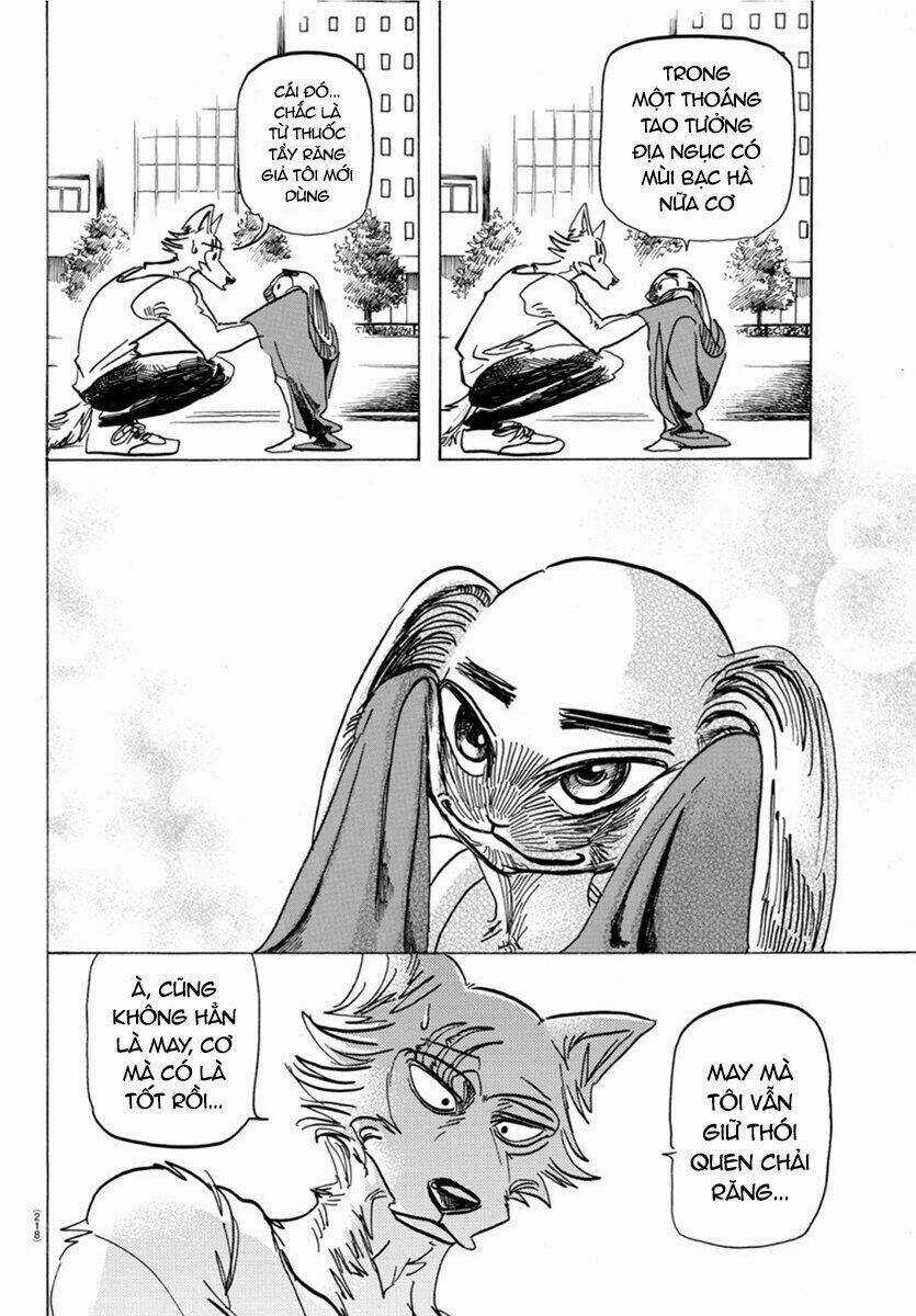 Bởi Vì Chúng Ta Đều Là Những Ngôi Sao Chapter 170 trang 17