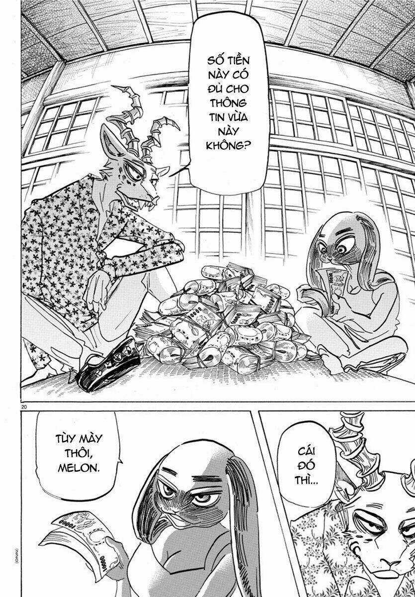 Bởi Vì Chúng Ta Đều Là Những Ngôi Sao Chapter 170 trang 19