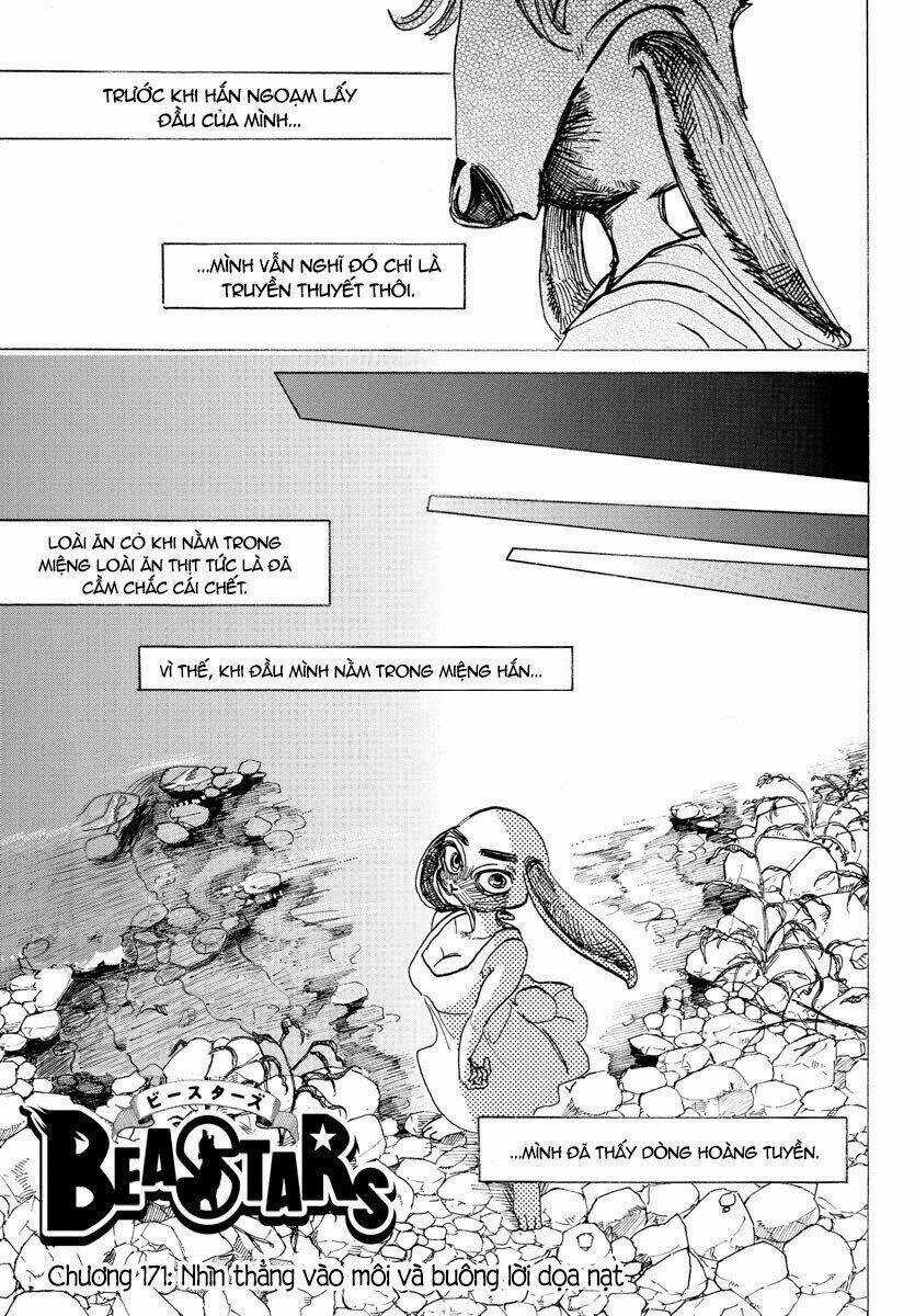Bởi Vì Chúng Ta Đều Là Những Ngôi Sao Chapter 171 trang 0