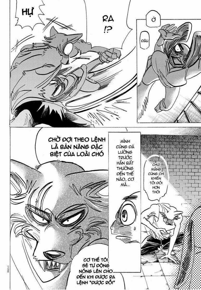 Bởi Vì Chúng Ta Đều Là Những Ngôi Sao Chapter 171 trang 13