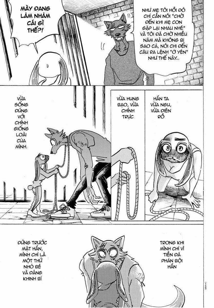 Bởi Vì Chúng Ta Đều Là Những Ngôi Sao Chapter 171 trang 14