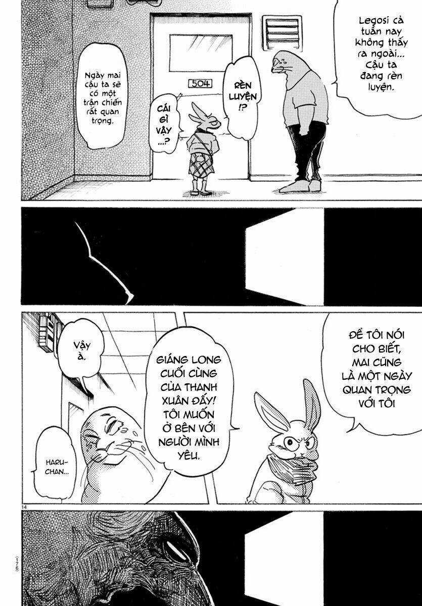 Bởi Vì Chúng Ta Đều Là Những Ngôi Sao Chapter 172 trang 13