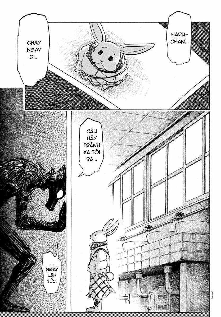 Bởi Vì Chúng Ta Đều Là Những Ngôi Sao Chapter 172 trang 14