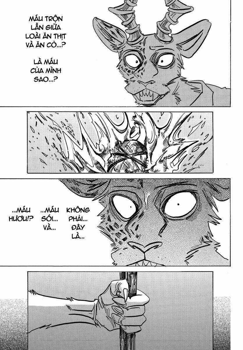 Bởi Vì Chúng Ta Đều Là Những Ngôi Sao Chapter 174 trang 17