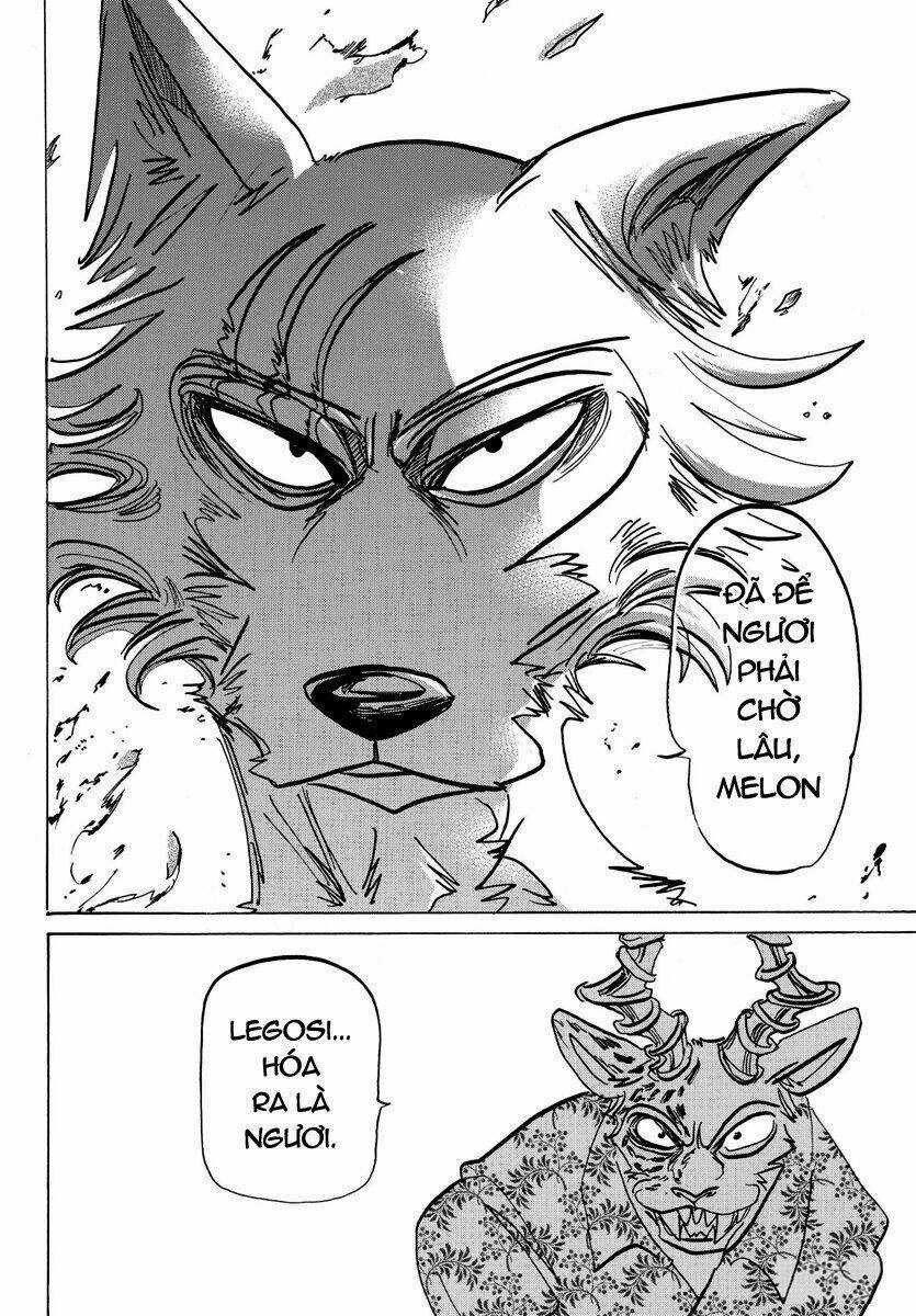 Bởi Vì Chúng Ta Đều Là Những Ngôi Sao Chapter 174 trang 20