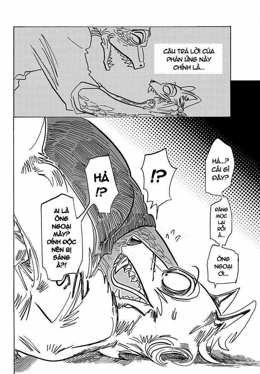 Bởi Vì Chúng Ta Đều Là Những Ngôi Sao Chapter 176 trang 17