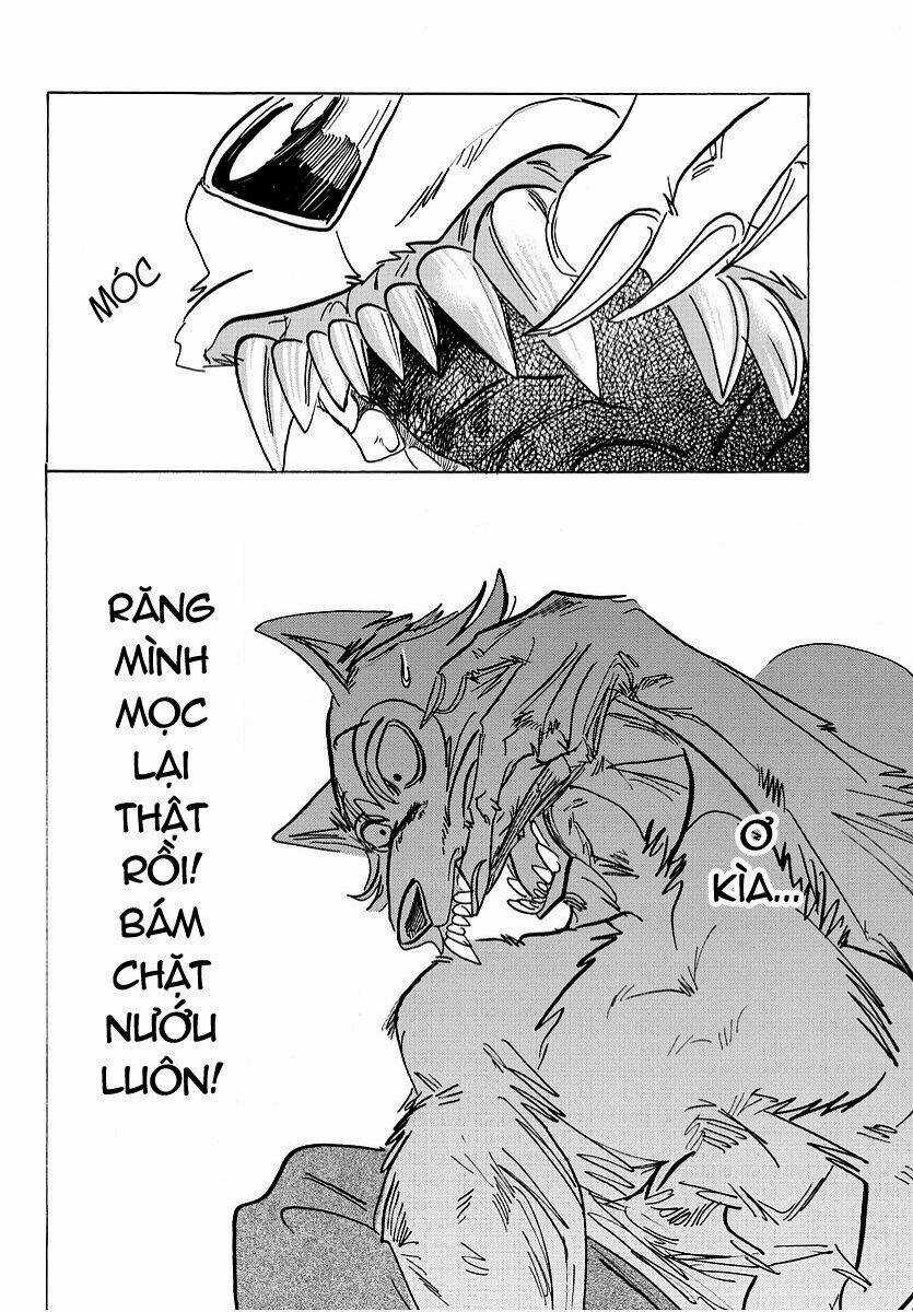 Bởi Vì Chúng Ta Đều Là Những Ngôi Sao Chapter 177 trang 1