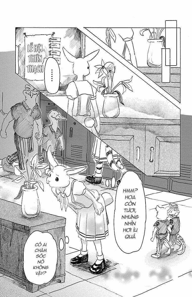 Bởi Vì Chúng Ta Đều Là Những Ngôi Sao Chapter 18 trang 12