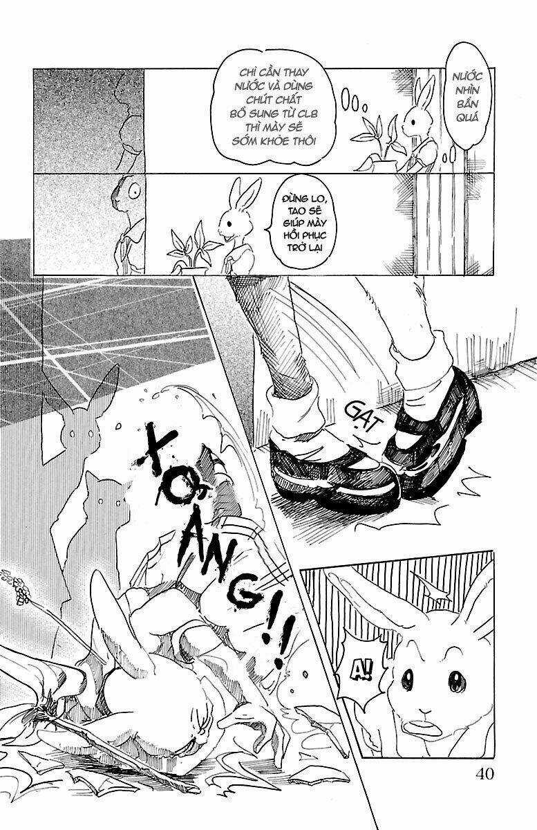 Bởi Vì Chúng Ta Đều Là Những Ngôi Sao Chapter 18 trang 13