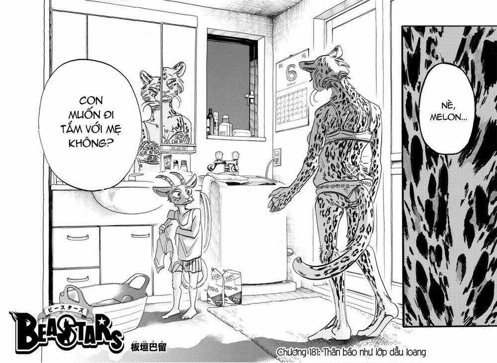 Bởi Vì Chúng Ta Đều Là Những Ngôi Sao Chapter 181 trang 1