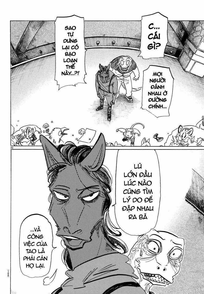 Bởi Vì Chúng Ta Đều Là Những Ngôi Sao Chapter 182 trang 17