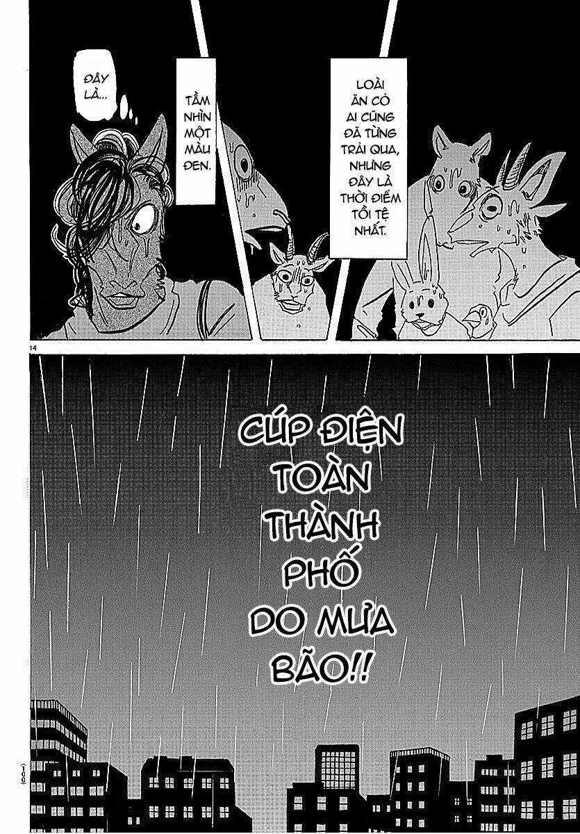 Bởi Vì Chúng Ta Đều Là Những Ngôi Sao Chapter 183 trang 13