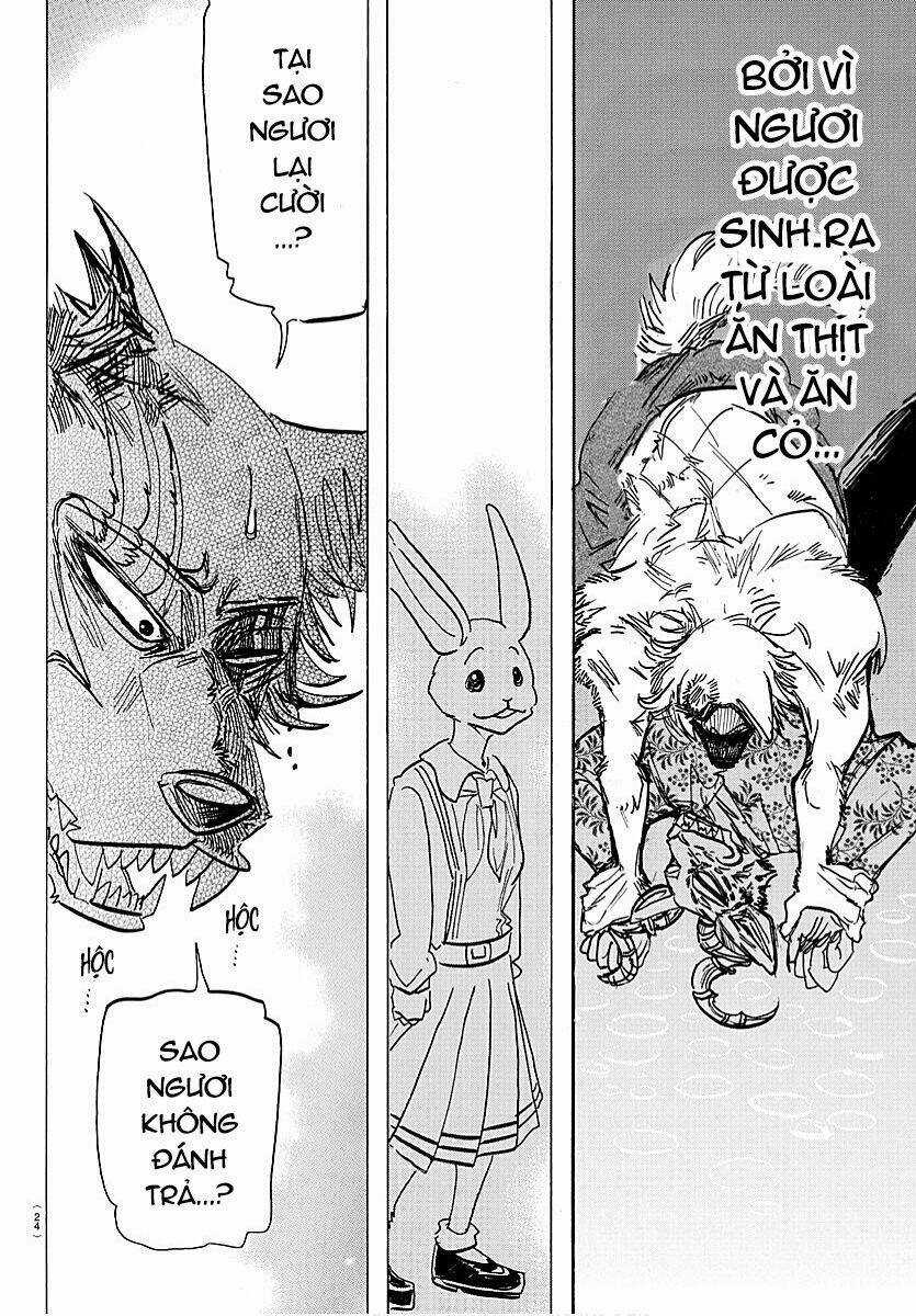 Bởi Vì Chúng Ta Đều Là Những Ngôi Sao Chapter 184 trang 10