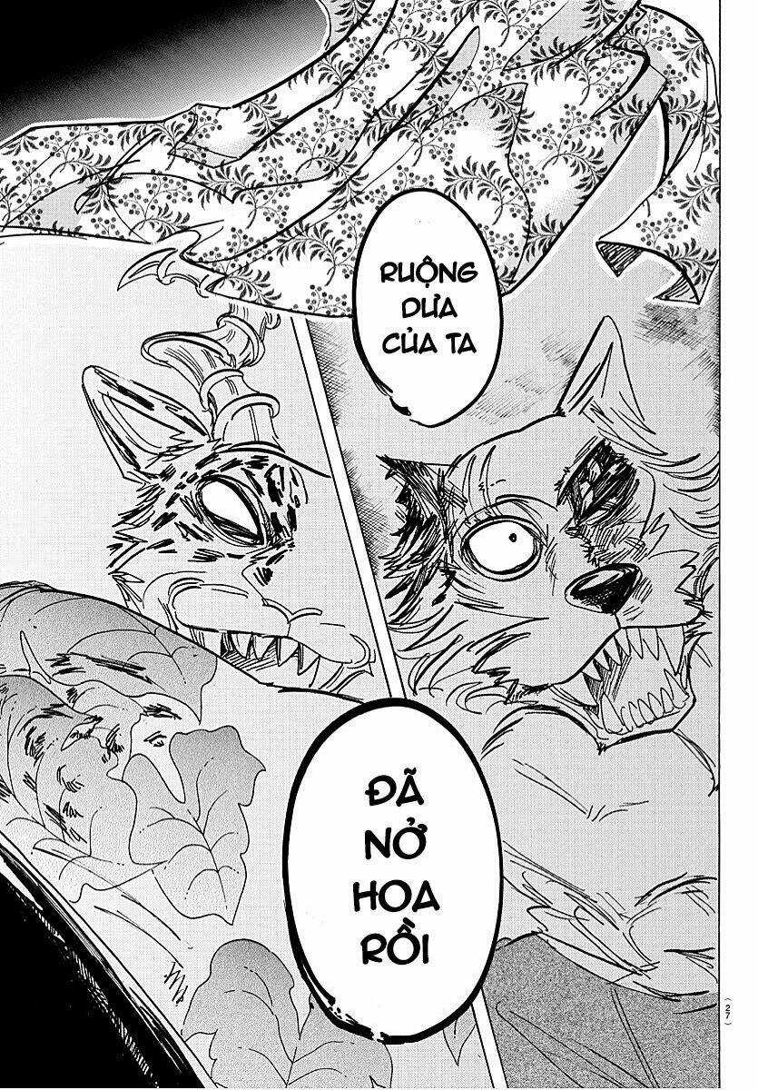 Bởi Vì Chúng Ta Đều Là Những Ngôi Sao Chapter 184 trang 13