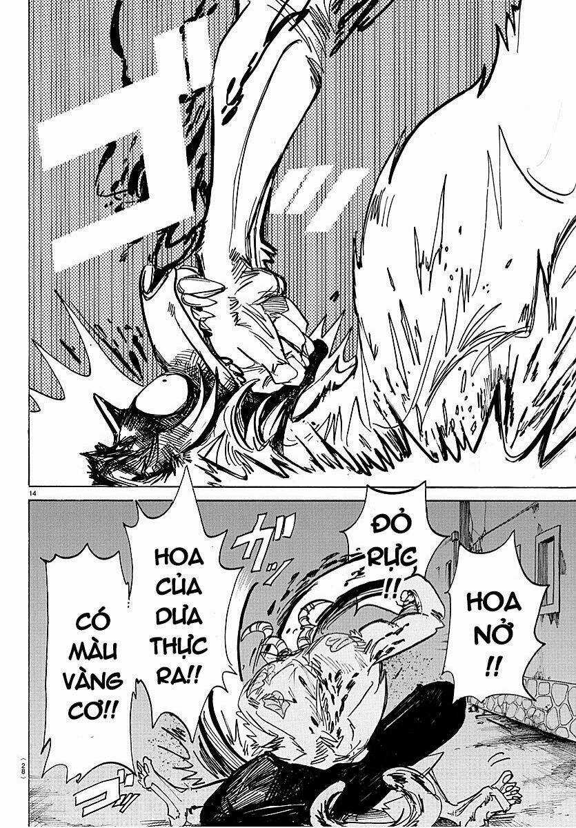 Bởi Vì Chúng Ta Đều Là Những Ngôi Sao Chapter 184 trang 14