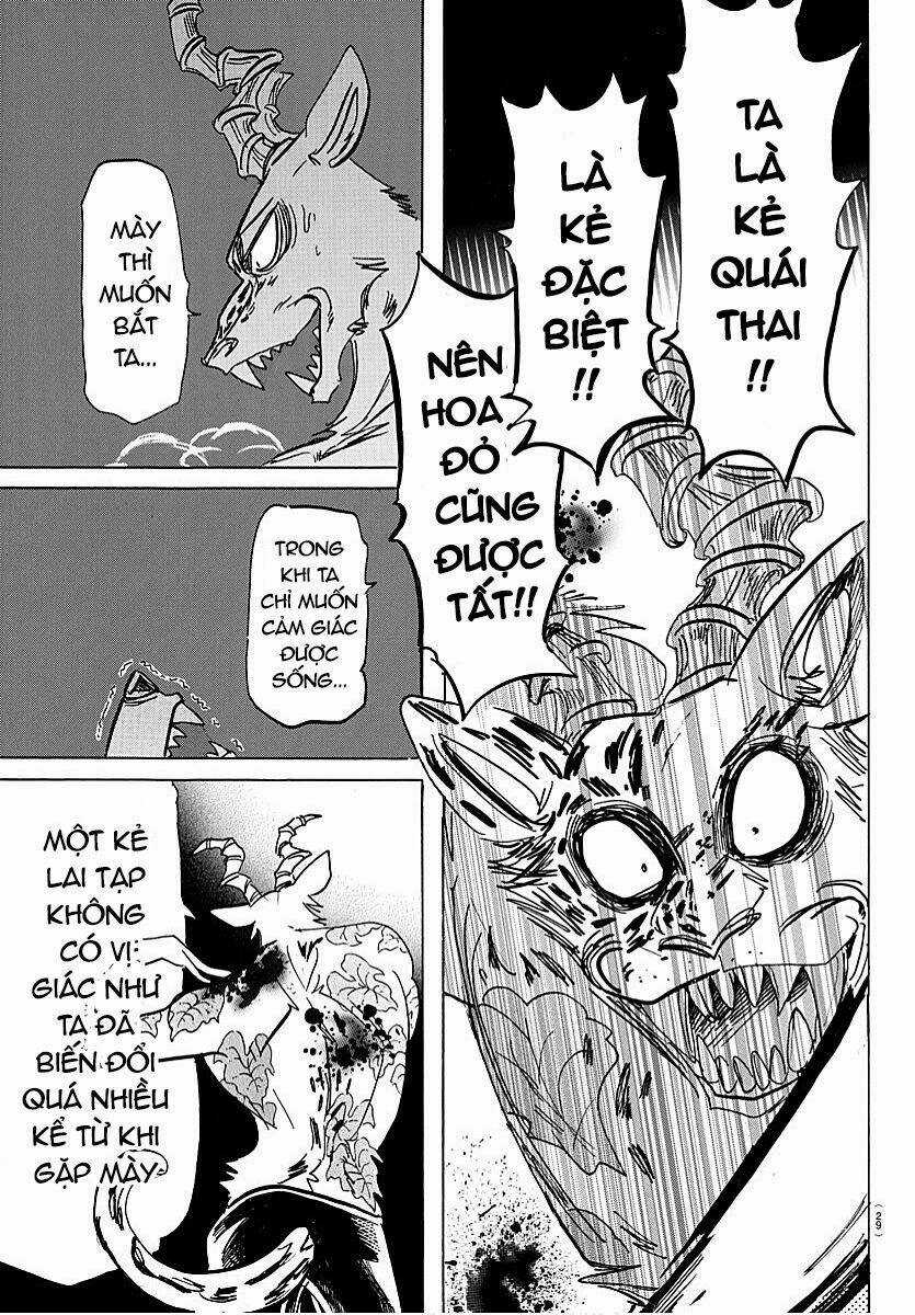 Bởi Vì Chúng Ta Đều Là Những Ngôi Sao Chapter 184 trang 15